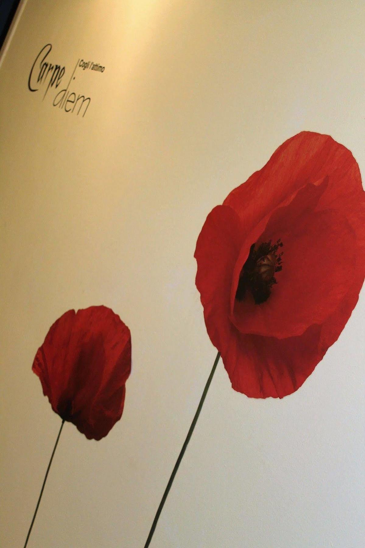 Appartamento In Centro Zona Fiera,Davanti Al Galliera เจนัว ภายนอก รูปภาพ